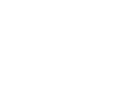 DBS Checked